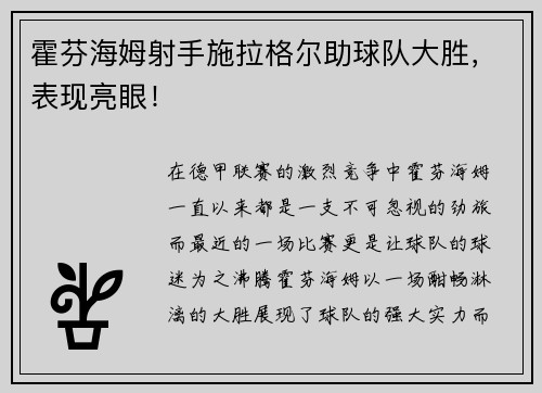 霍芬海姆射手施拉格尔助球队大胜，表现亮眼！